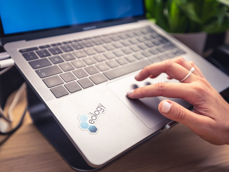 Content Consultant  (m/w/x)
