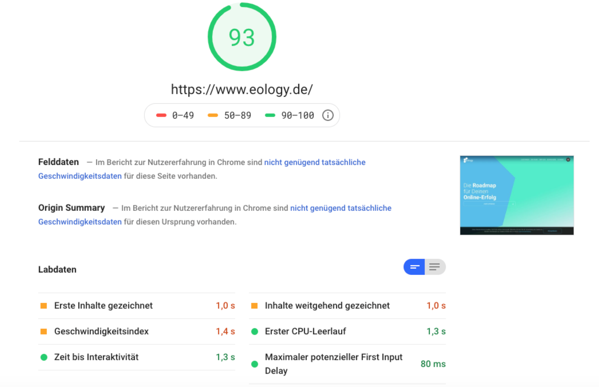 Einblick in Google Page Speed Insights