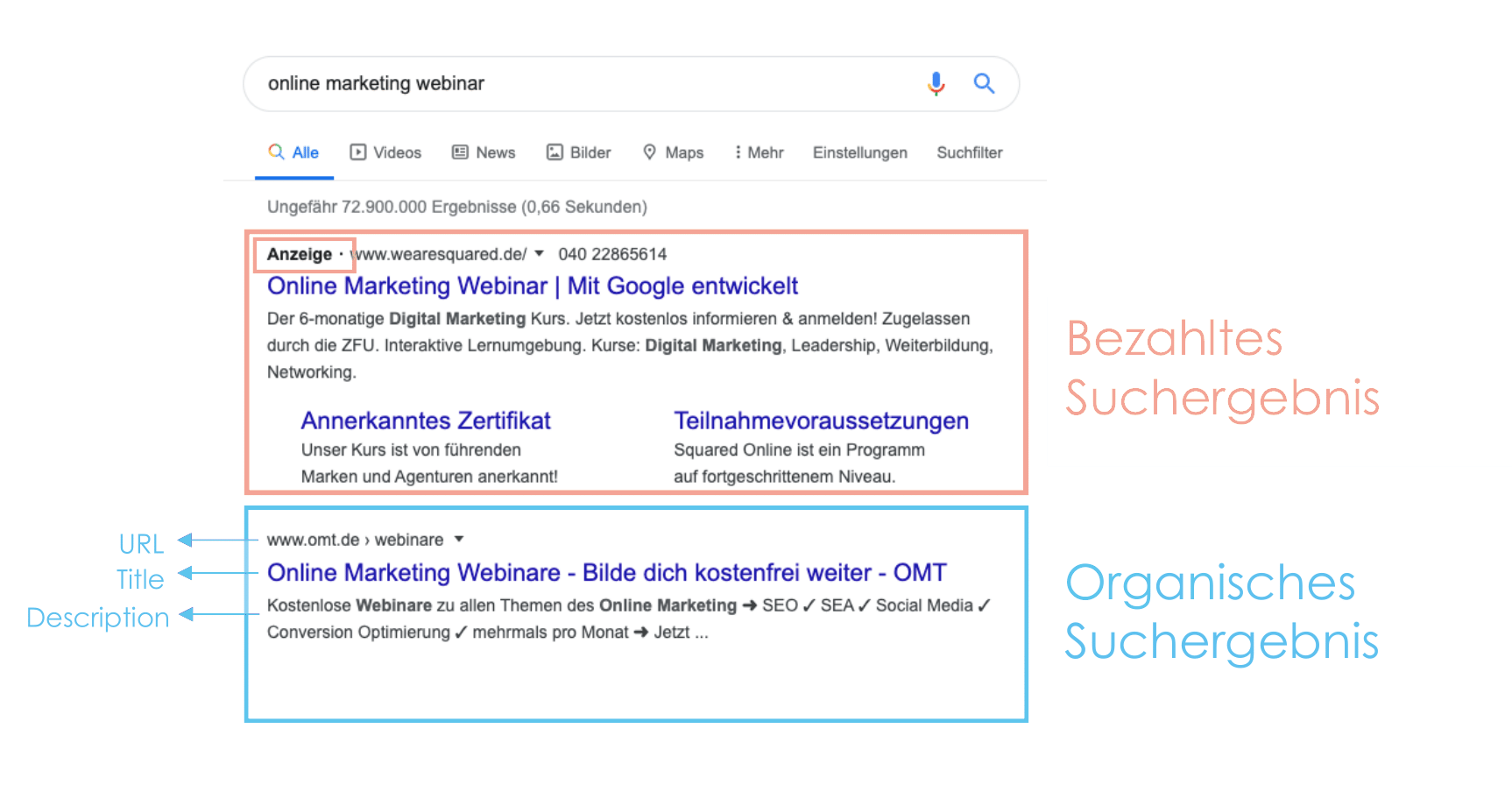 Bezahlte und organische Suchergebnisse