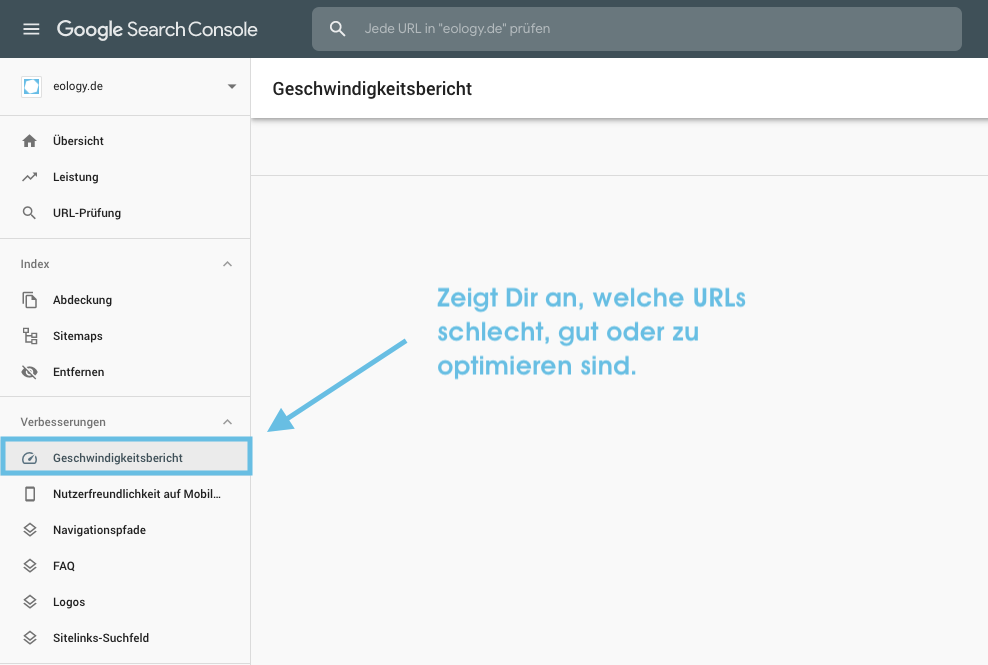 Geschwindigkeitsbericht der Google Search Console