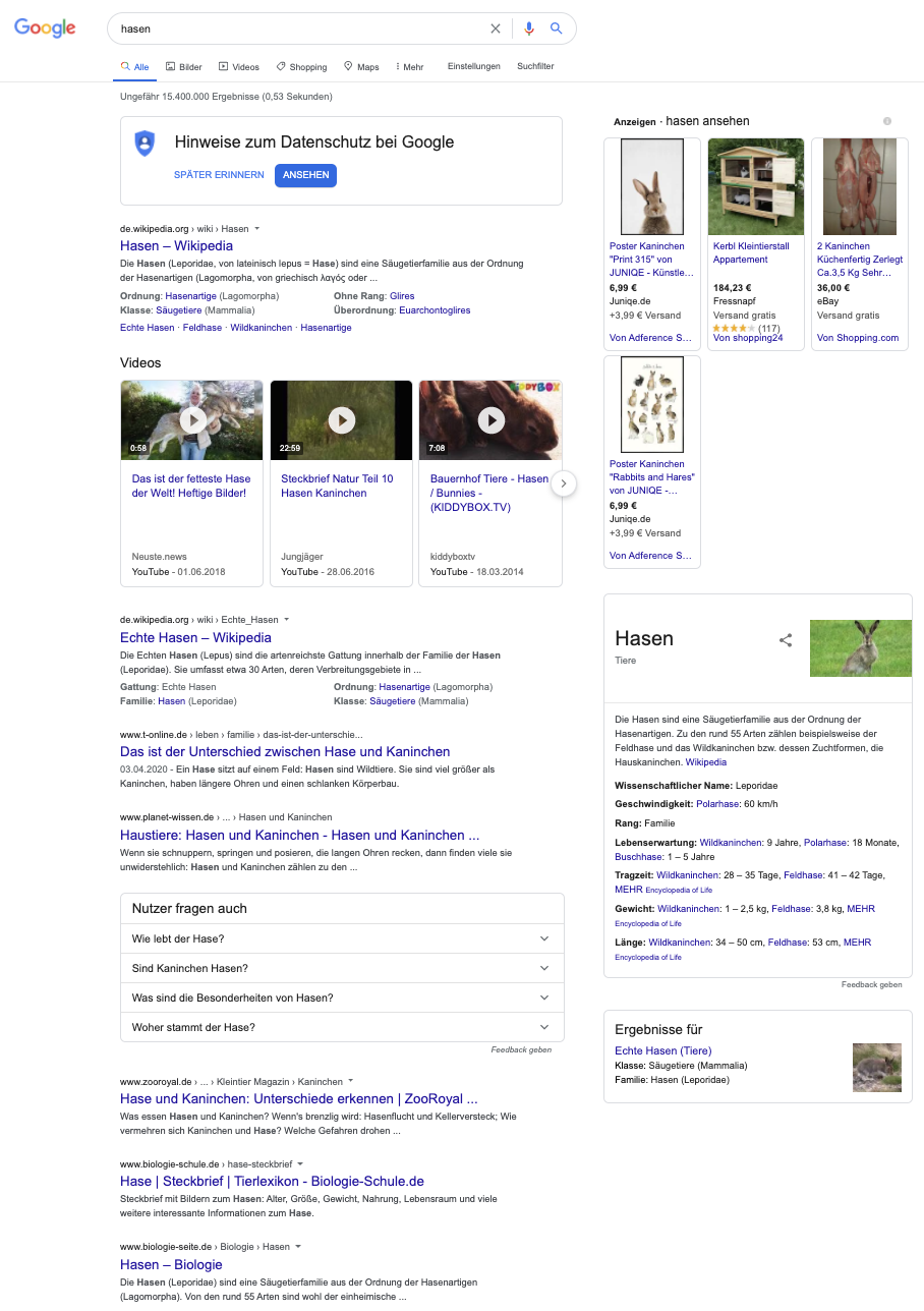 Eine Google Suche nach dem Keyword "Hasen" zeigt, dass mit einer so unkonkreten Suchanfrage viele verschiedene Ergebnisse erscheinen, von denen die Meisten vermutlich nicht das ausspielen, was Du wissen möchtest.