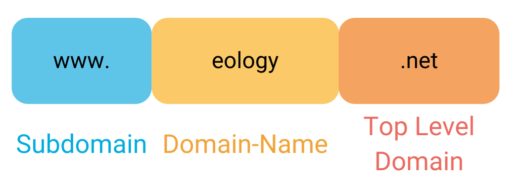 The graphic shows the different components of a domain using www.eology.net as an example. The first component is the www as a subdomain. The domain name is eology. This is followed by the top level domain. In this example .de