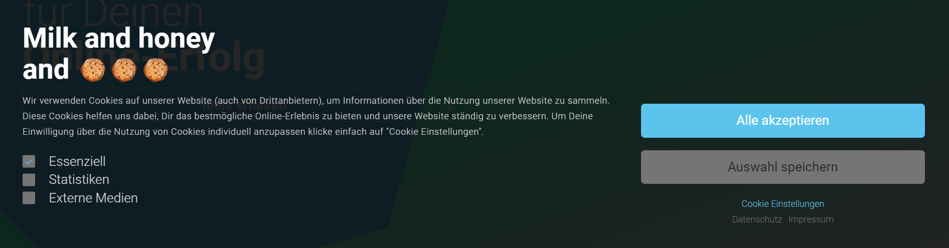 Das Bild zeigt als Beispiel den Cookie-Hinweis von eology.de. Der User kann hierbei zwischen der Nutzung von essenziellen Cookies, statistischen Cookies oder externen Medien wählen und seine Auswahl speichern. Alternativ kann er alle Cookies akzeptieren.