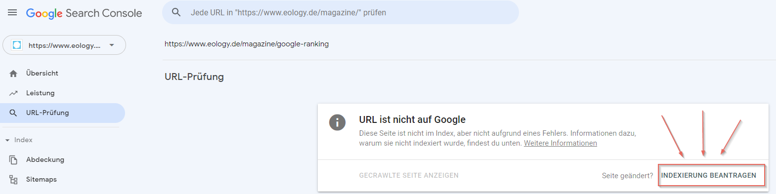 Der Screen zeigt den letzten Schritt zur Indexierung einer neuen URL.