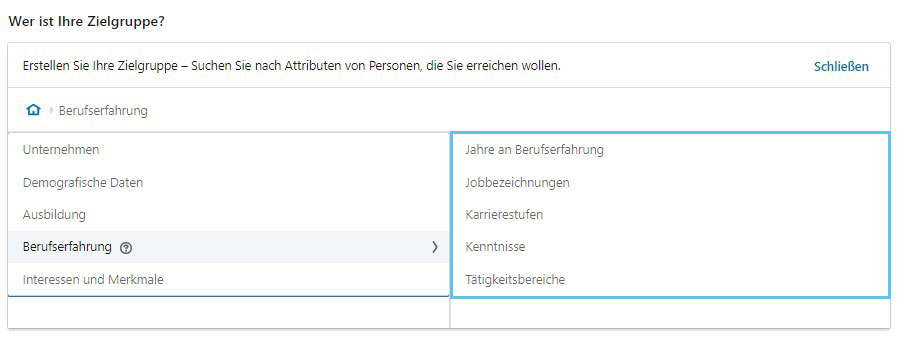 LinkedIn Ads Zielgruppenattribute Berufserfahrung