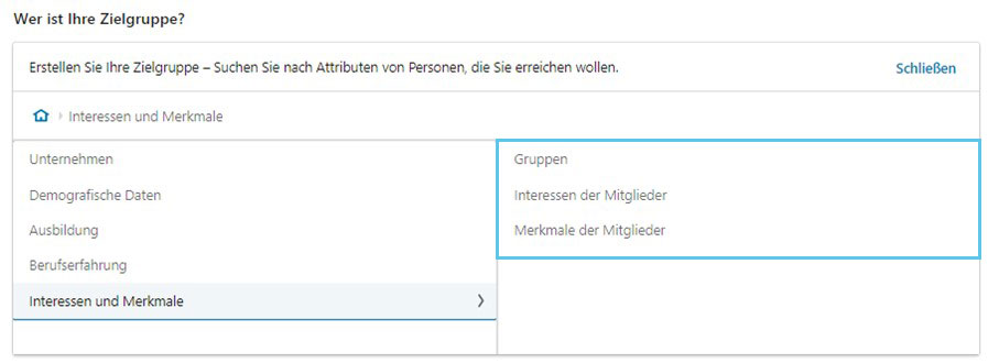 LinkedIn Ads Zielgruppenattribute Interessen und Merkmale