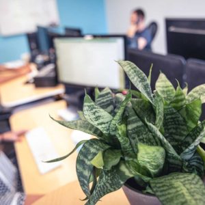 Werkstudent Content Creation(m/w/x)