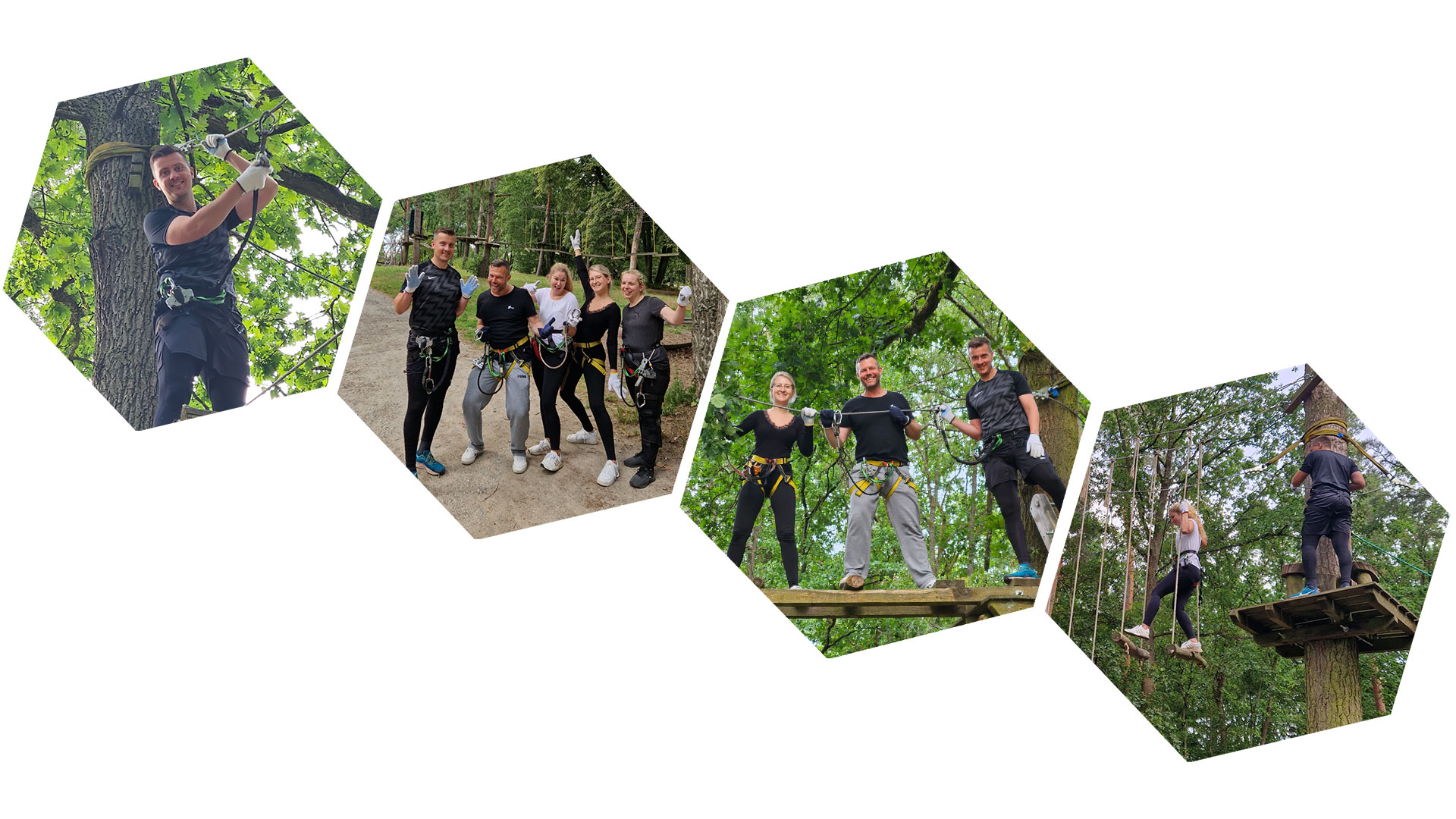 Impressionen aus dem Kletterwald Teamevent bei eology GmbH