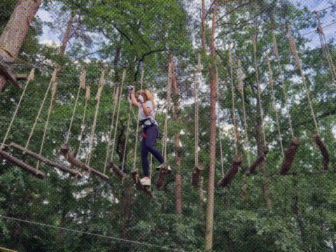 Mit dem Marketing-Team hoch hinauf – Klettergarten als Teamevent