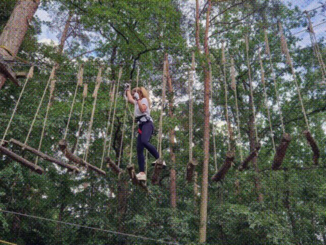 Mit dem Marketing-Team hoch hinauf – Klettergarten als Teamevent