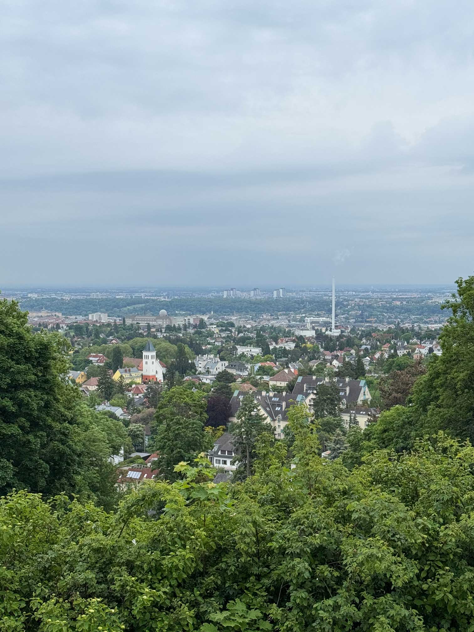 Ausblick Schloss Wilhelminenberg