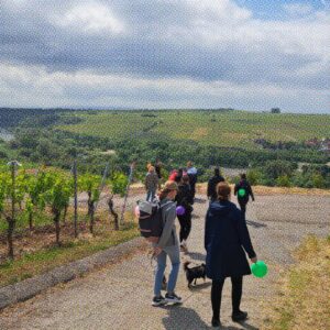 Content Outreach-Abteilung on Tour: Wanderschuhe, Weinberge & Geburtstagsstimmung