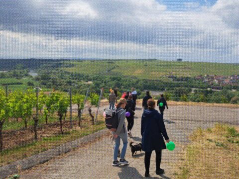 Content Outreach-Abteilung on Tour: Wanderschuhe, Weinberge & Geburtstagsstimmung