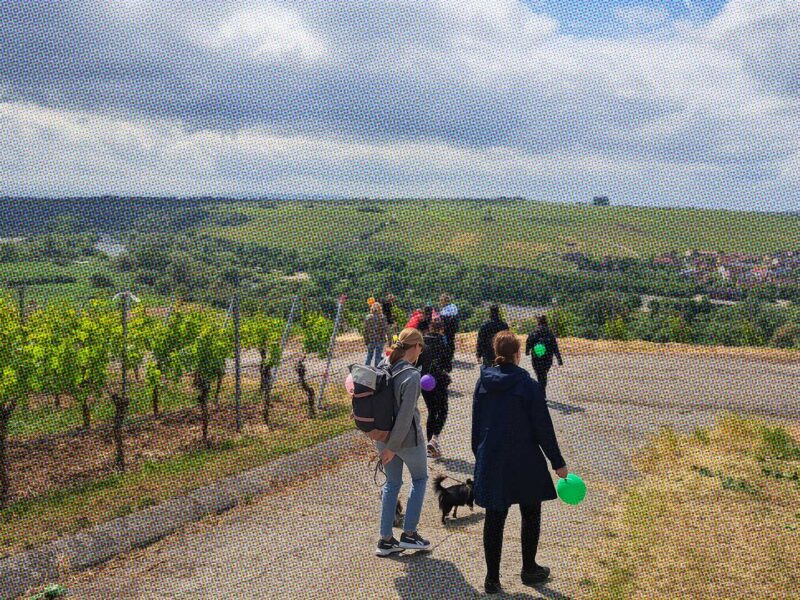 Content Outreach-Abteilung on Tour: Wanderschuhe, Weinberge & Geburtstagsstimmung Content Outreach-Abteilung on Tour: Wanderschuhe, Weinberge & Geburtstagsstimmung