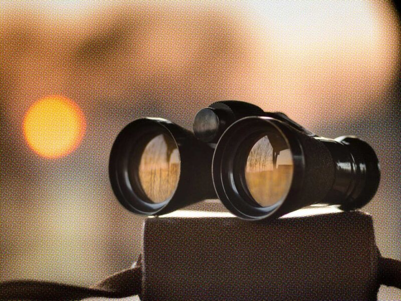 Quo Vadis Search? Die Evolution des Suchverhaltens in Zeiten von KI und Zero-Click-Searches Quo Vadis Search? Die Evolution des Suchverhaltens in Zeiten von KI und Zero-Click-Searches