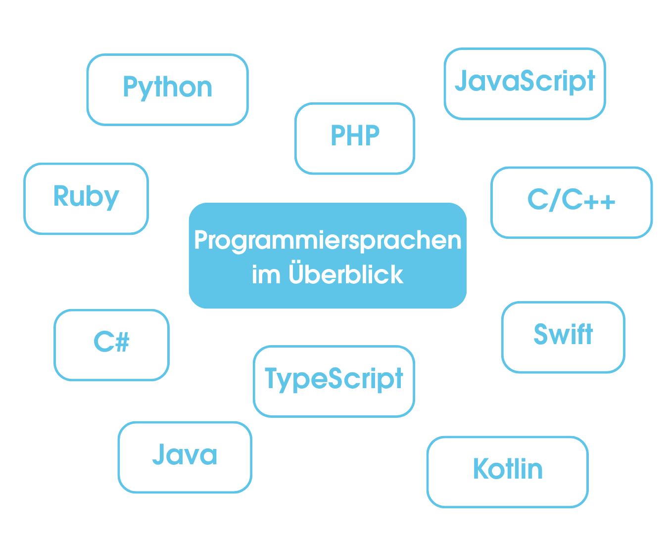 Abgebildet sind die verschiedenen Programmiersprachen: Java, JavaScript, C/C++, Swift, Kotlin, TypeScript, C#, PHP, Python